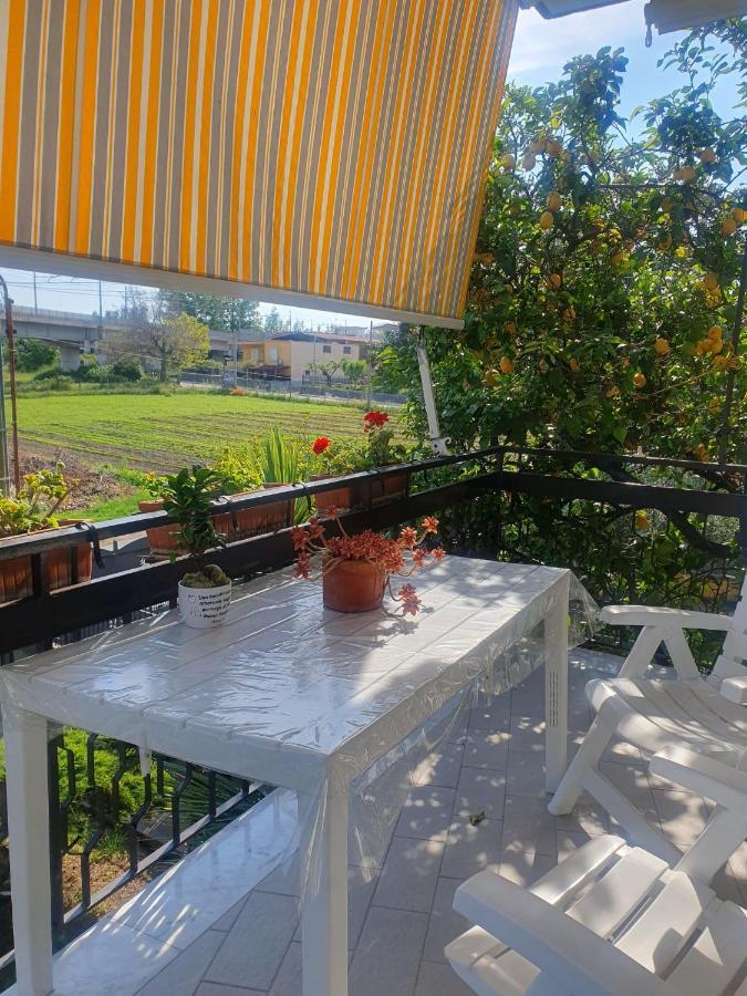 Bed and Breakfast Ospitalita Il Noce Brusciano Exterior foto
